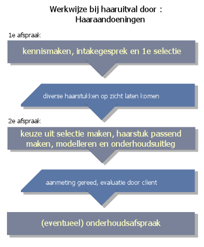 Werkwijze Haaraandoeningen